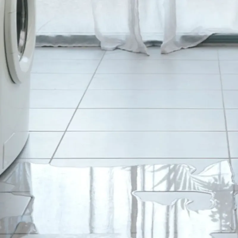Appliance Leak Cleanup in Hawkins, TX