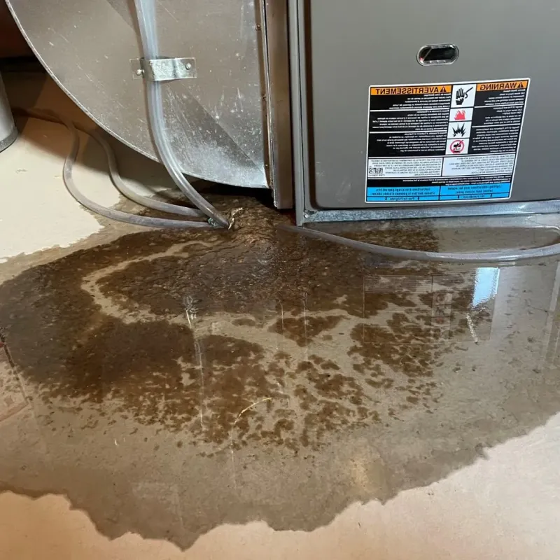 Pipe Burst and Leak Restoration in Hawkins, TX