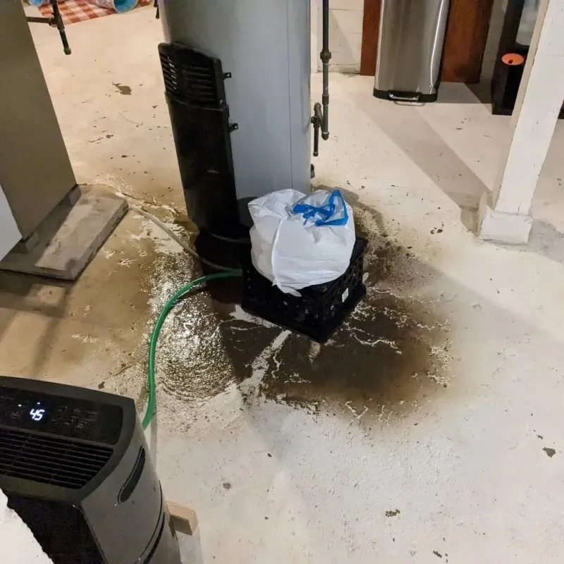 Sewage Backup Cleanup Service in Hawkins, TX